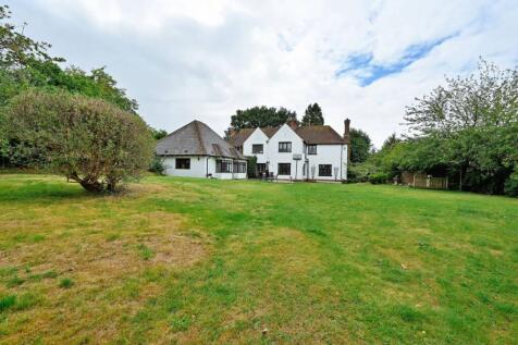 Property Image 46