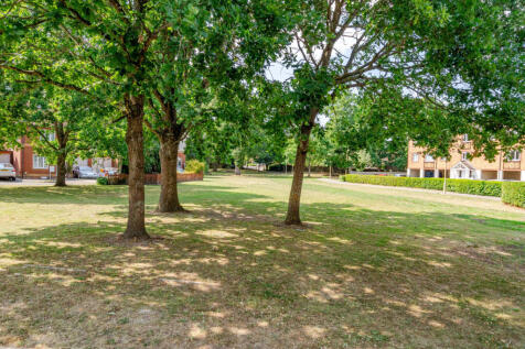 Opposite Green