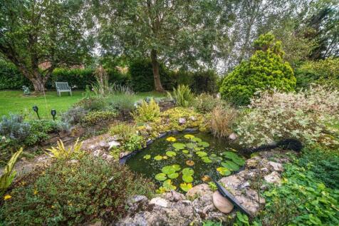 Wildlife Pond