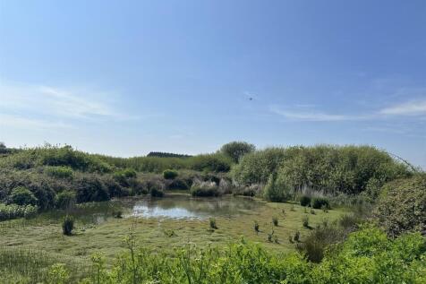 Pond