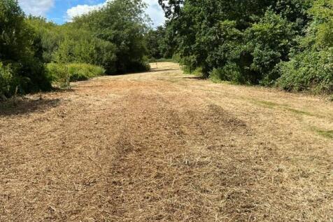 Bottom Field 6.JPG