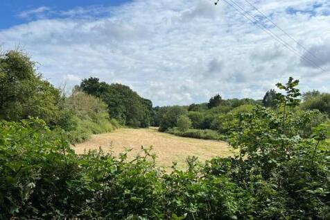 Bottom field from lane.JPG