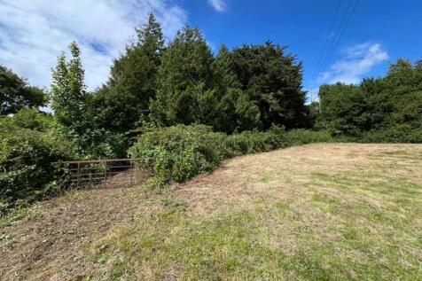 Bottom Field with gate.JPG
