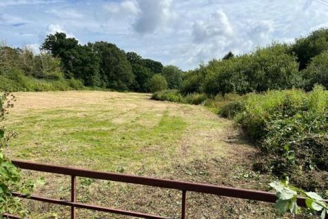 Gate to bottom field 2.JPG
