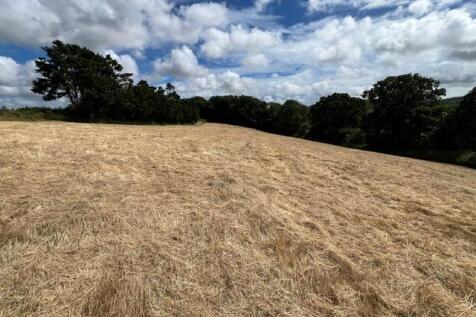 Top Field 2.JPG