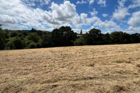 Top Field with tower 5.JPG