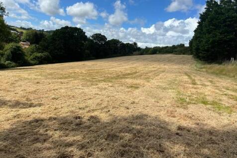 Top Field.JPG
