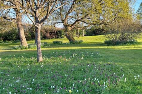 Property Image 31