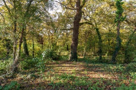 Property Image 23