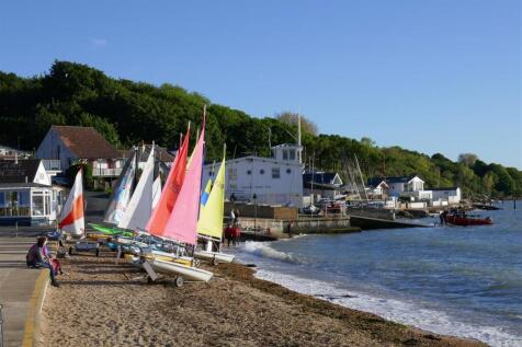 Gurnard