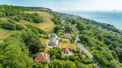Local Views