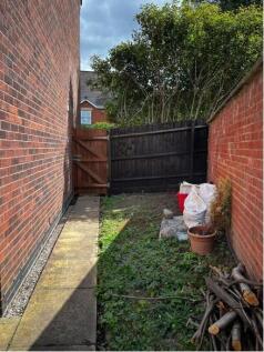 Backgarden3.jpg