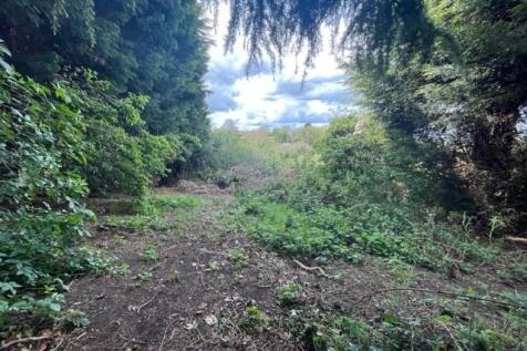 Garden view 3