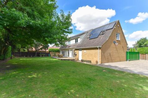 Property Image 38
