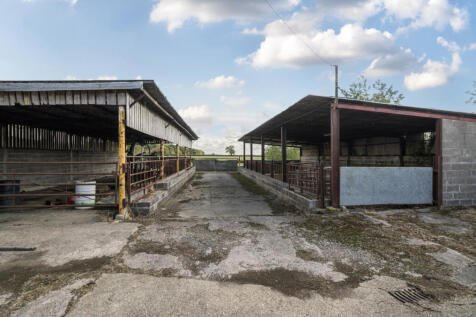 1343994-17-68bac9...