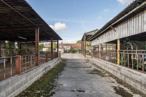 1343994-16-68bac8...