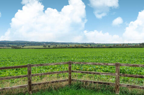 1361972-5-68ee8de...