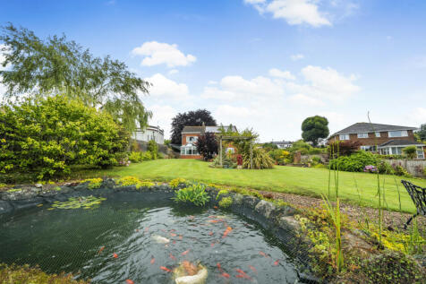 Pond/Garden