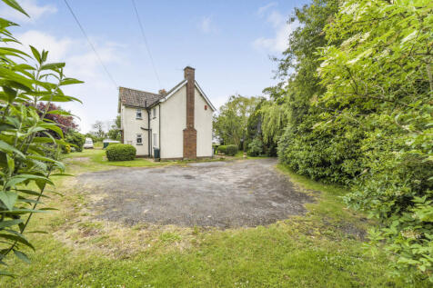 Back Garden