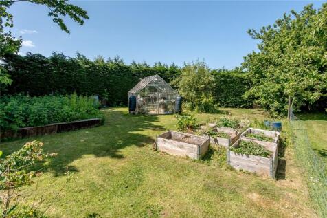 Veg Plot