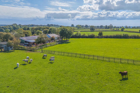 1359596-15-68d982...