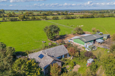 1359596-8-68d981f...