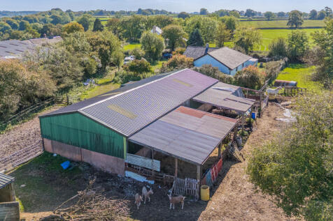 1359596-5-68d981e...