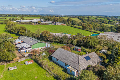 1359596-12-68d982...