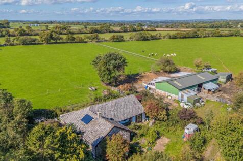 1359596-8-68d981f...