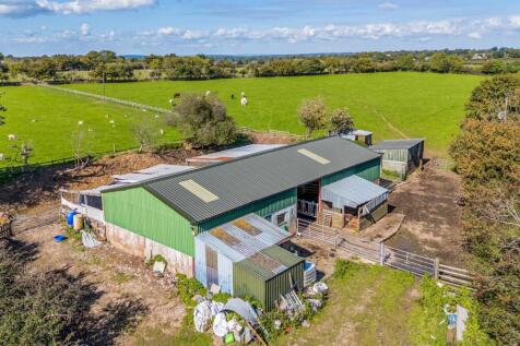 1359596-1-68d981d...