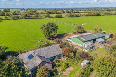 1359596-9-68d9820...