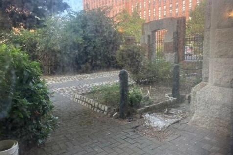 Garden 2