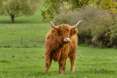 9b1b38fd-2bc8-438...