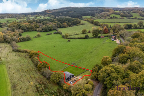 d874dda3-9919-4ff...