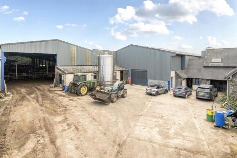 Lot 1