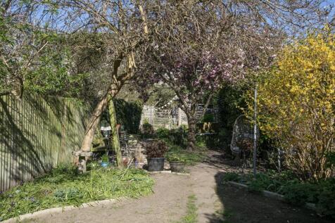 3Y6A0975.jpg