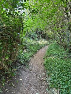Path 2.jpg