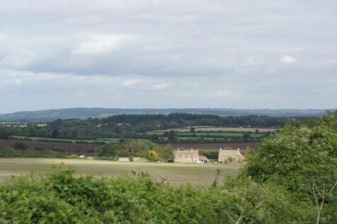 Barley Beans from a Distance.jpg