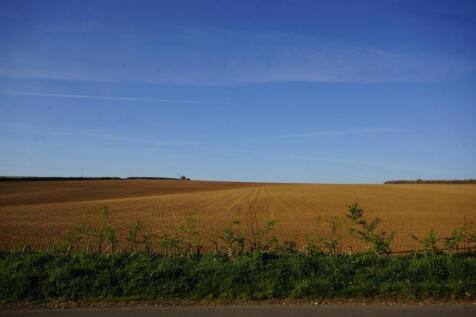 Barley Beans - front view.jpg