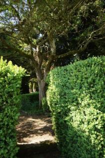 Greendrive - Garden 1.JPG