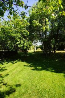 Greendrive - Orchard Garden (portrait).JPG