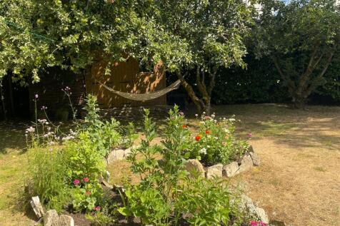 image00006.jpeg