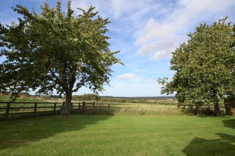 Plovers - Garden &amp; View.jpg
