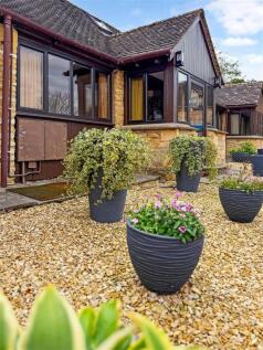 sketch_Ph14_6276122 (2).jpg