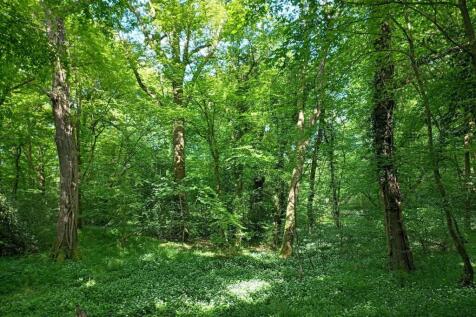 Property Image 39