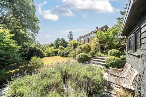Terrace &amp; Garden