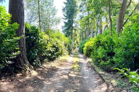 Walks Nearby