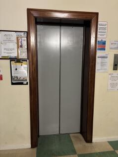 IMG_3299.jpeg