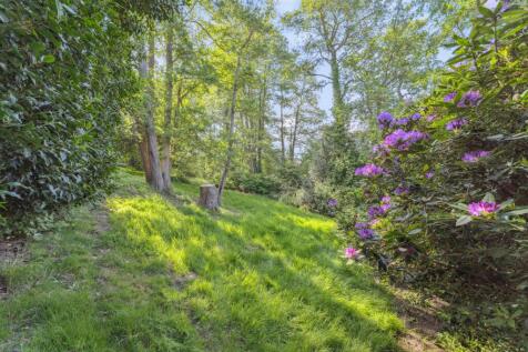 Property Image 29
