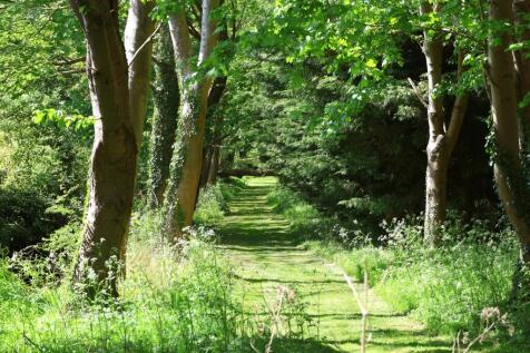 Property Image 23